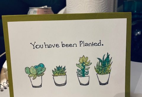 Comforting Cards
